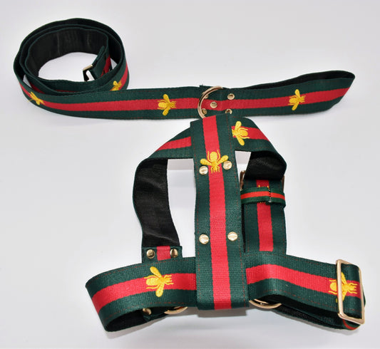 PUPCCI BEE LEASH & HARNESS SET image 0