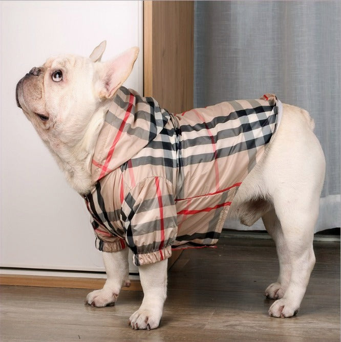 PUPBERRY WINDBREAKER image 0