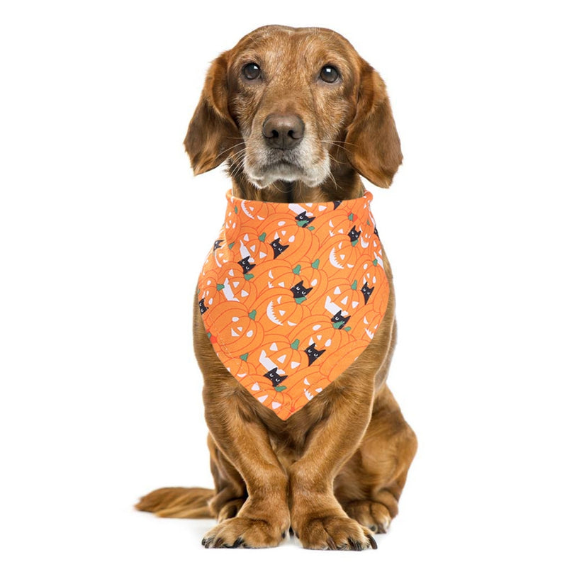 HALLOWEEN PUP SCARF image 1