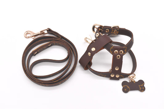 LOUIE PUPTTON LEASH & HARNESS SET image 0