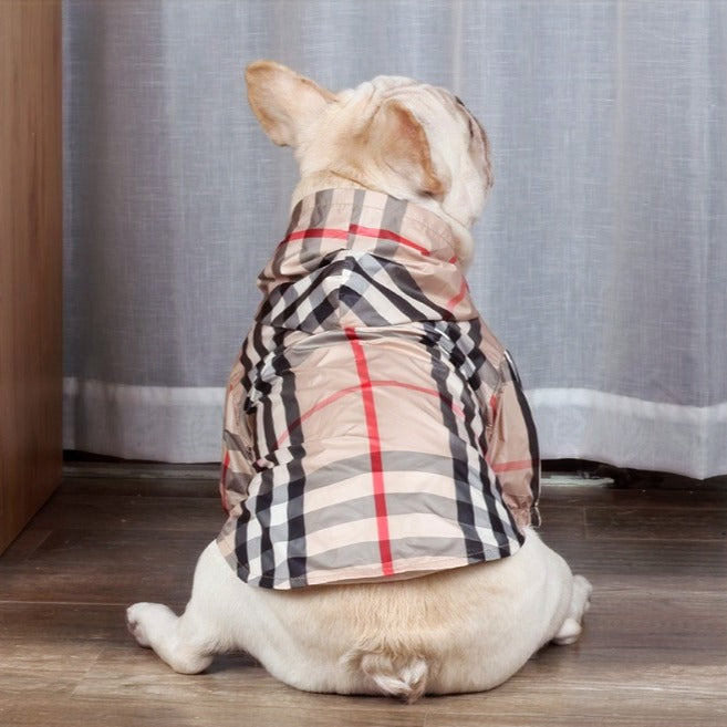 PUPBERRY WINDBREAKER image 1