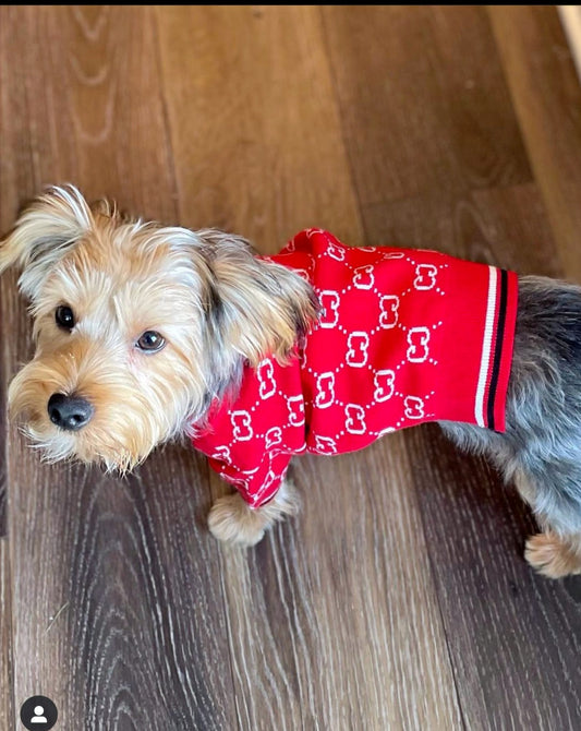 CLASS ACT PUPCCI SWEATER image 0
