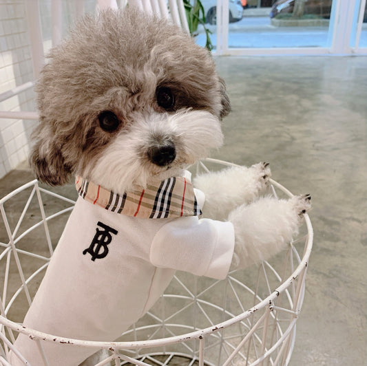 TB PUPBERRY PLAID COLLAR SHIRT image 0