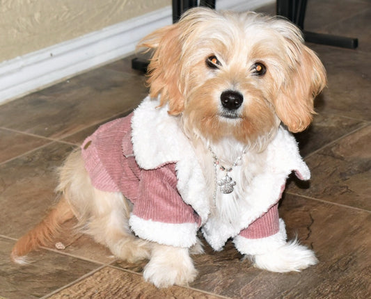 CORDUROY & FUR COAT image 0