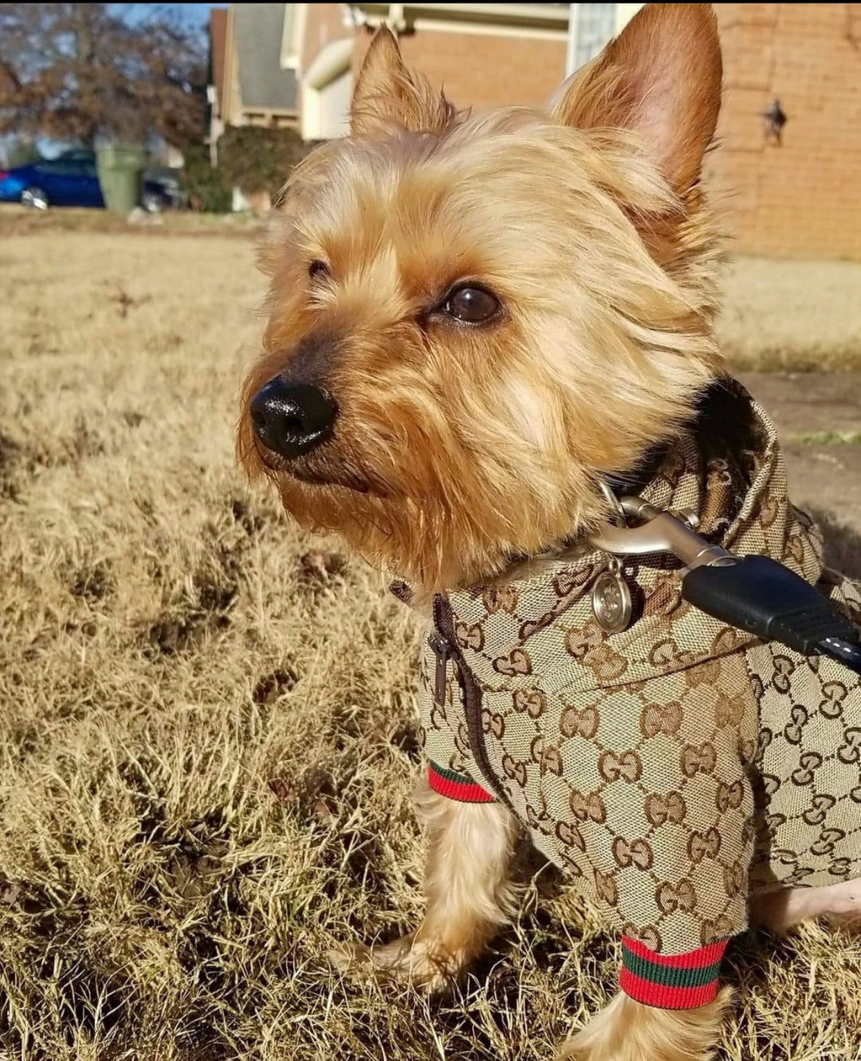 PUPCCI HOODED JACKET image 0
