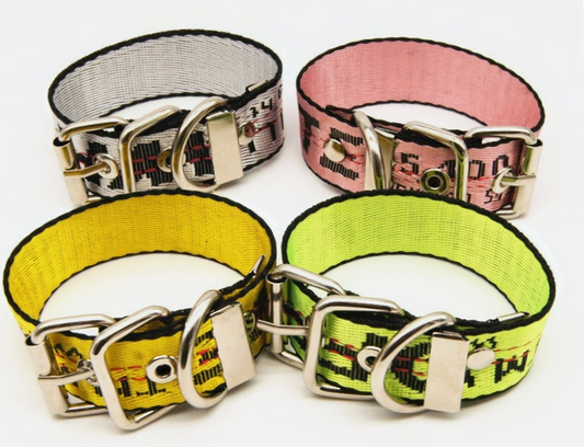 OFF PUP WHITE LEASH & COLLAR SET image 0