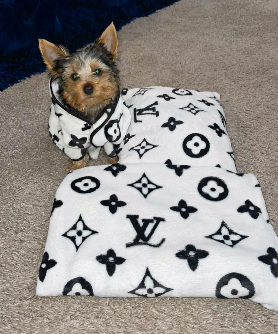 LOUIS PUPTTON PILLOW AND BLANKET SET image 0